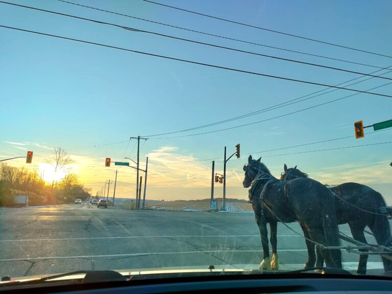 Pferdekutsche im Straßenverkehr in Kanada