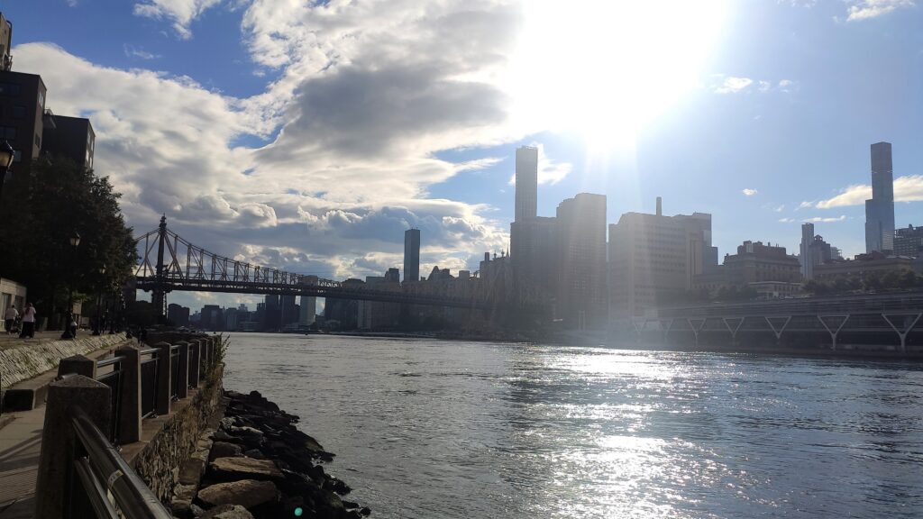 Skyline New Yorks von Roosevelt Island aus